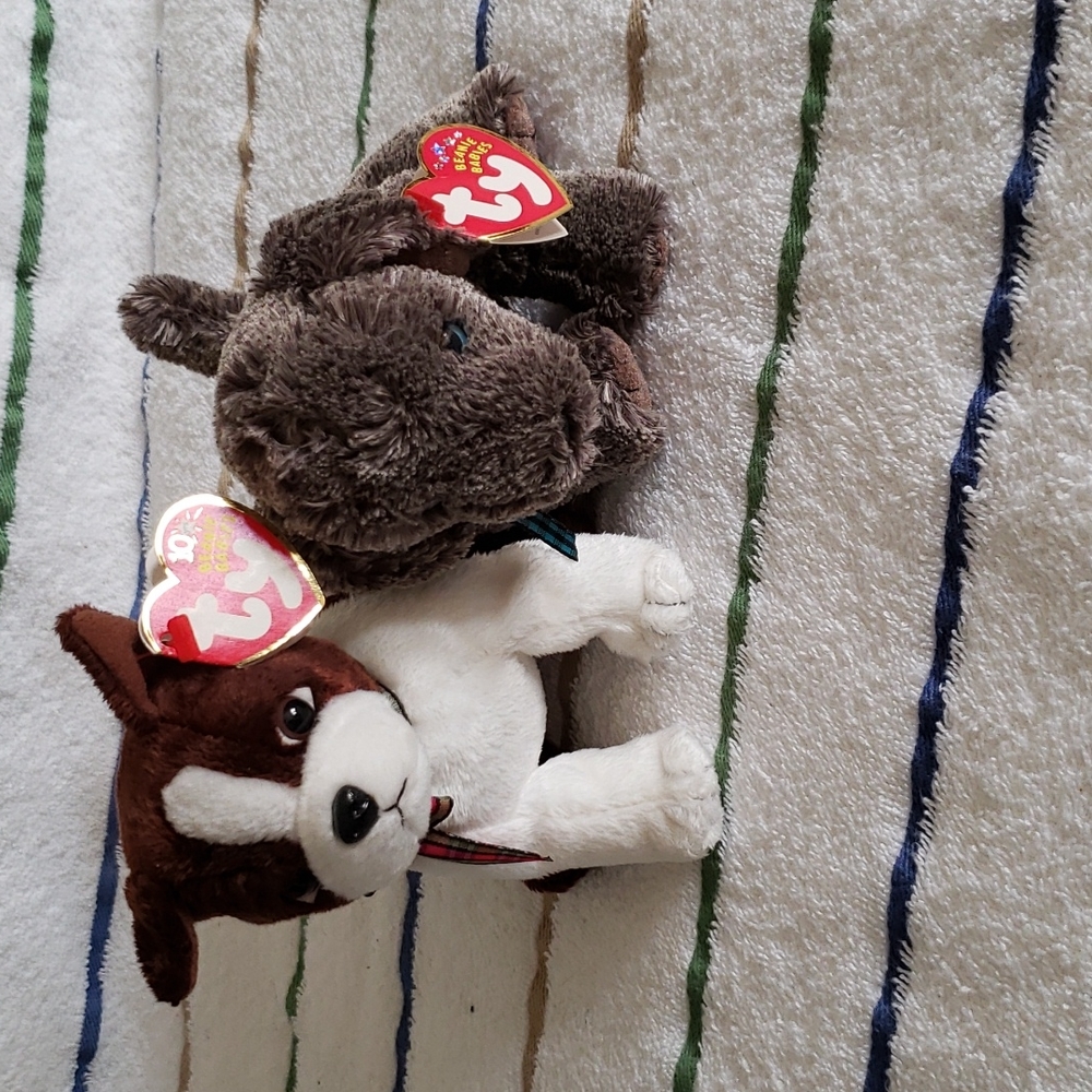 Beannie dogs